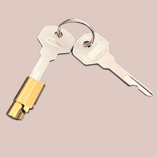 This image shows two keys and an integral padlock.