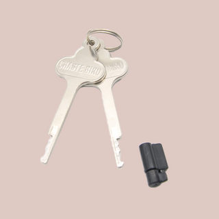 The two keys and inegral plastic lock shown separately.