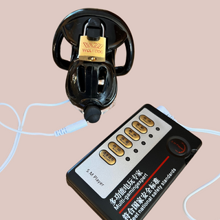 The Loc'd standard shown with the electrics and handset attached.