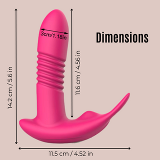 The Full  Dimensions of The Bouncing Bunny