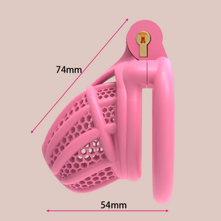 The Hive Chastity Cage